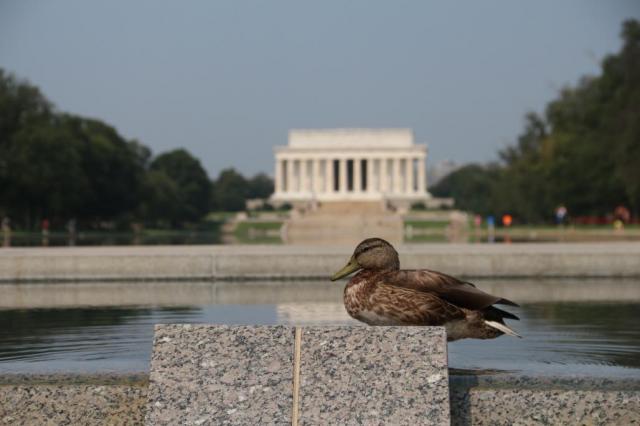 dc-IMG_1669.JPG